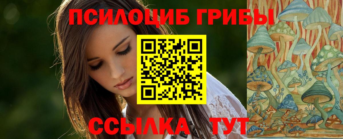 Галлюциногенные грибы Psilocybine cubensis  Галлюциногенные грибы GOLDEN TEACHER  Вход с VPN  Королёв 